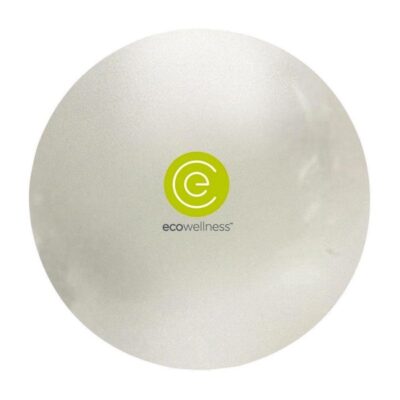 Ecowellness Gym Ball